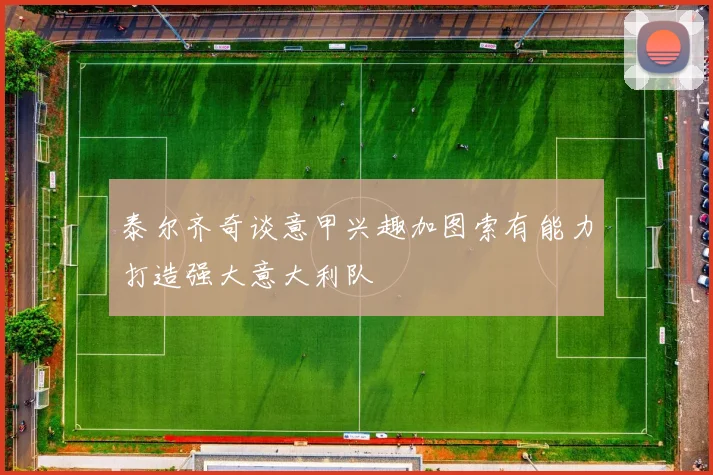 泰尔齐奇谈意甲兴趣加图索有能力打造强大意大利队