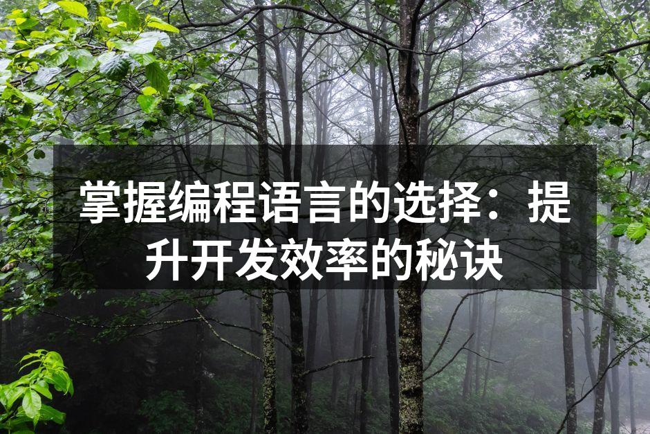 掌握编程语言的选择:提升开发效率的秘诀